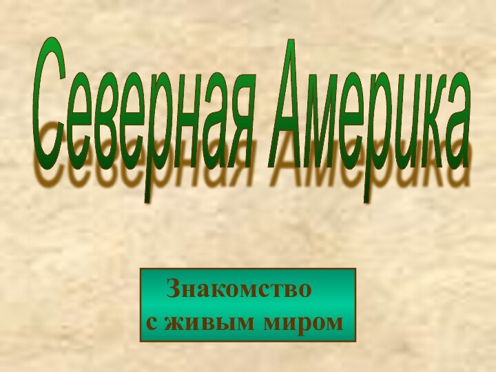 Северная Америка  Знакомство   с живым миром