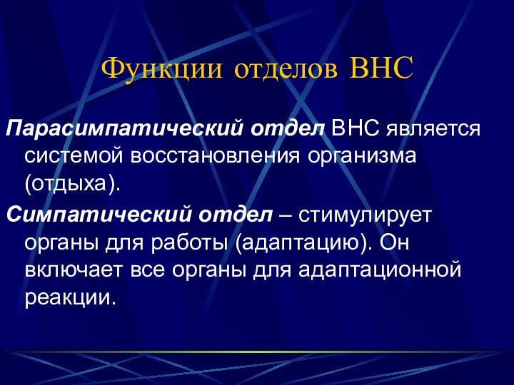 Функции отделов ВНСПарасимпатический отдел ВНС является системой восстановления организма (отдыха).Симпатический отдел –