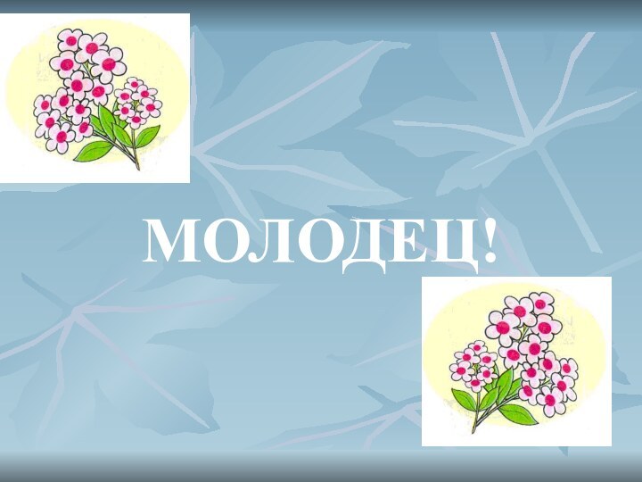 МОЛОДЕЦ!