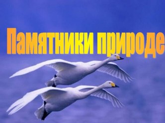 Памятники природе