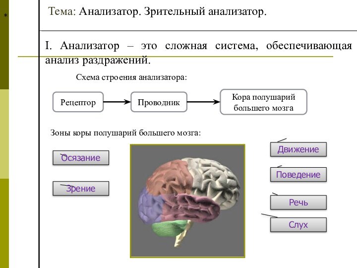 *Тема: Анализатор. Зрительный анализатор.I. Анализатор – это сложная система, обеспечивающая анализ раздражений.Схема