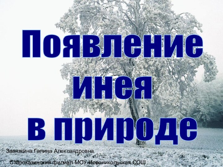 Появление инеяв природеЗавязкина Галина АлександровнаСтароказинский филиал МОУ Новоникольская СОШ