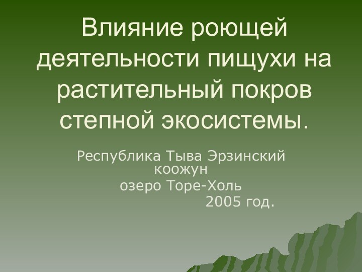 Влияние роющей деятельности пищухи на растительный покров степной экосистемы.Республика Тыва Эрзинский коожун