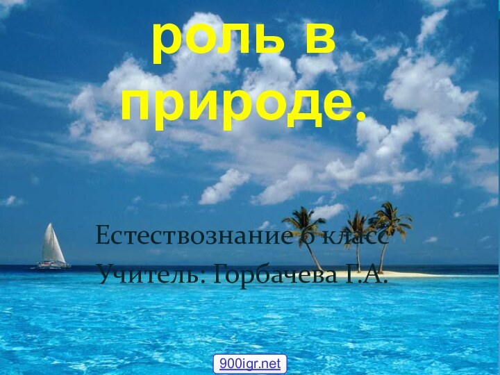 Вода и её роль в природе. Естествознание 6 классУчитель: Горбачева Г.А.