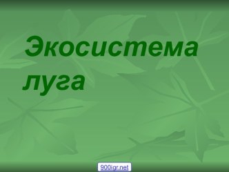 Экосистема луга