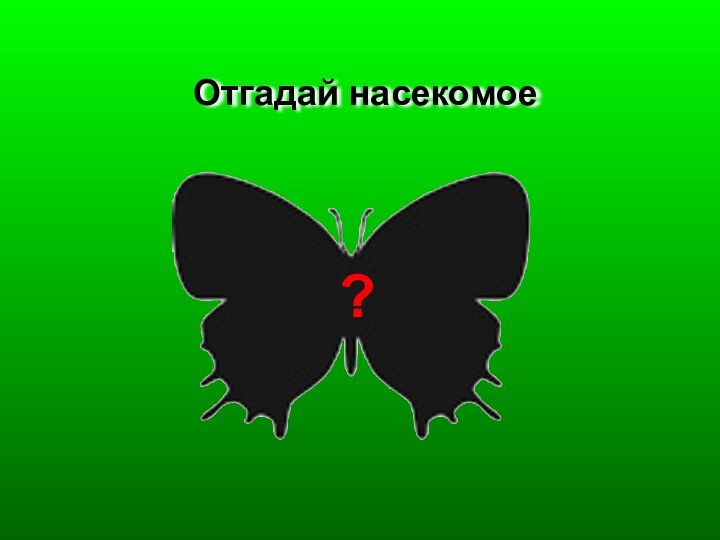 Отгадай насекомое?