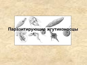 Паразитирующие жгутиконосцы