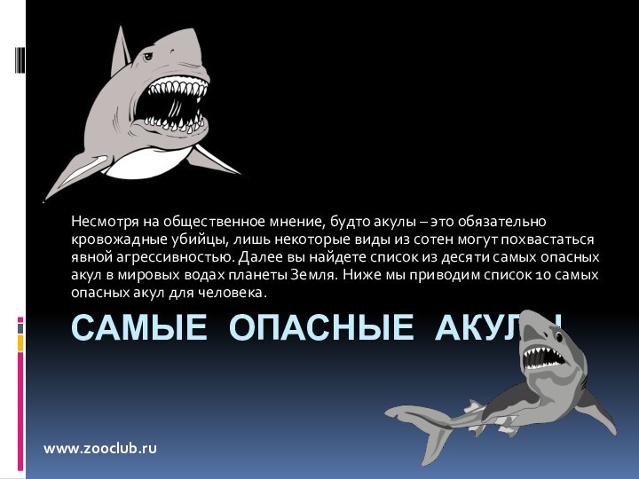 Самые опасные акулыНесмотря на общественное мнение, будто акулы – это обязательно кровожадные