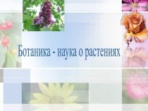 Ботаника - наука о растениях