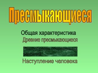 Пресмыкающиеся рептилии