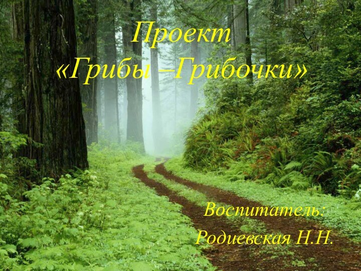 Проект  «Грибы –Грибочки»Воспитатель:Родиевская Н.Н.