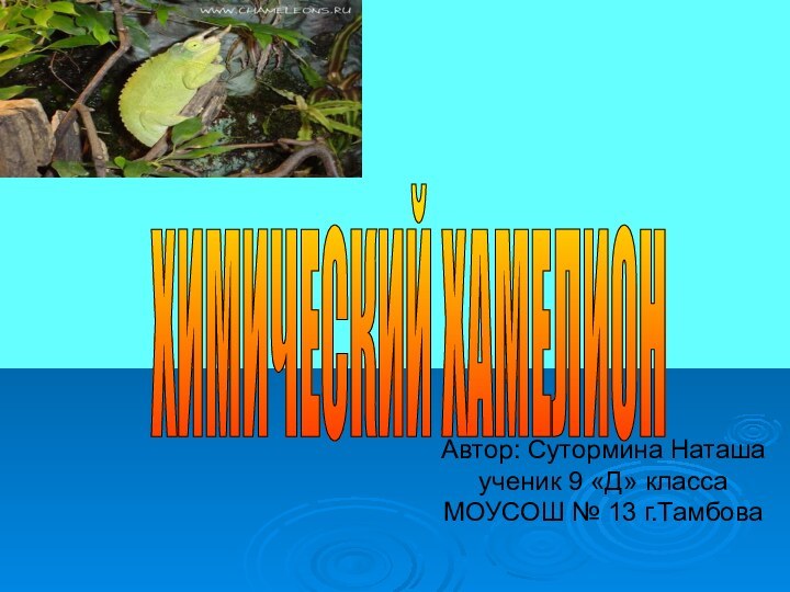 Автор: Cутормина Наташа ученик 9 «Д» класса МОУСОШ № 13 г.ТамбоваХИМИЧЕСКИЙ ХАМЕЛИОН