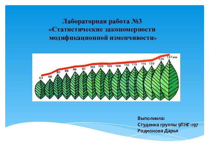 Лабораторная работа №3«Статистические закономерности модификационной изменчивости»Выполнила:Студенка группы 9ПНГ-197 Родионова Дарья