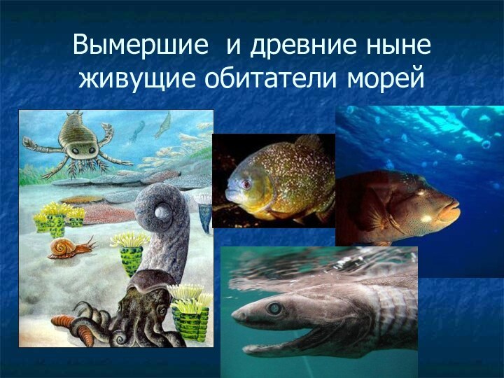 Вымершие и древние ныне живущие обитатели морей