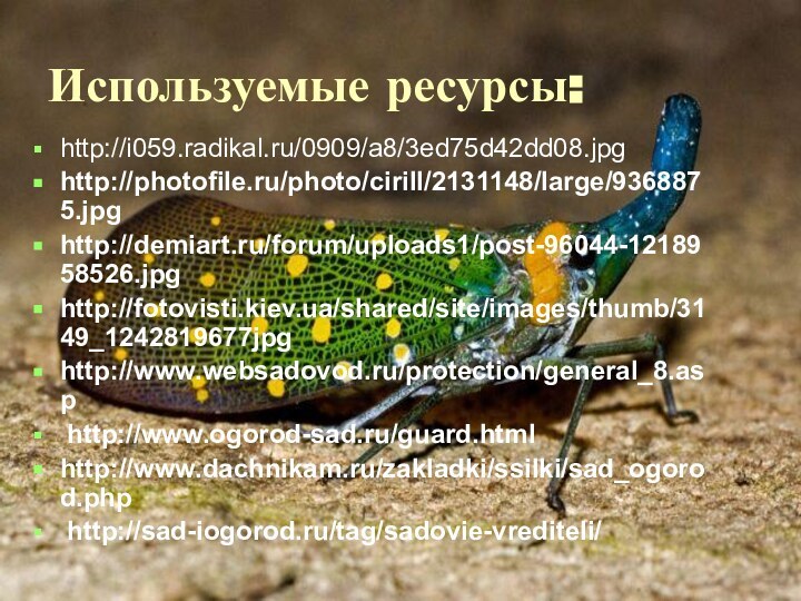 Используемые ресурсы:http://i059.radikal.ru/0909/a8/3ed75d42dd08.jpg http://photofile.ru/photo/cirill/2131148/large/9368875.jpg http://demiart.ru/forum/uploads1/post-96044-1218958526.jpg http://fotovisti.kiev.ua/shared/site/images/thumb/3149_1242819677jpg http://www.websadovod.ru/protection/general_8.asp http://www.ogorod-sad.ru/guard.html http://www.dachnikam.ru/zakladki/ssilki/sad_ogorod.php http://sad-iogorod.ru/tag/sadovie-vrediteli/