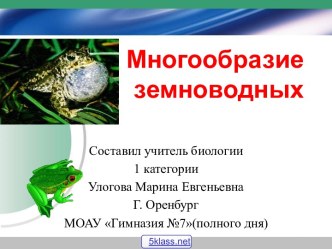 Многообразие амфибий