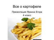 Все о картофеле