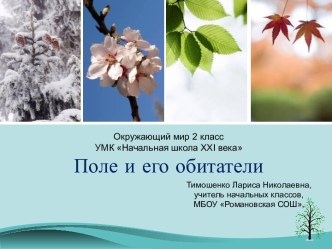 Презентация для урока окружающего мира во 2 классе по теме: Поле и его обитатели