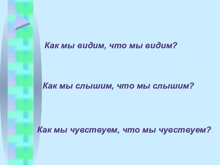 Как мы видим, что мы видим?Как мы слышим, что мы слышим?Как мы чувствуем, что мы чувствуем?