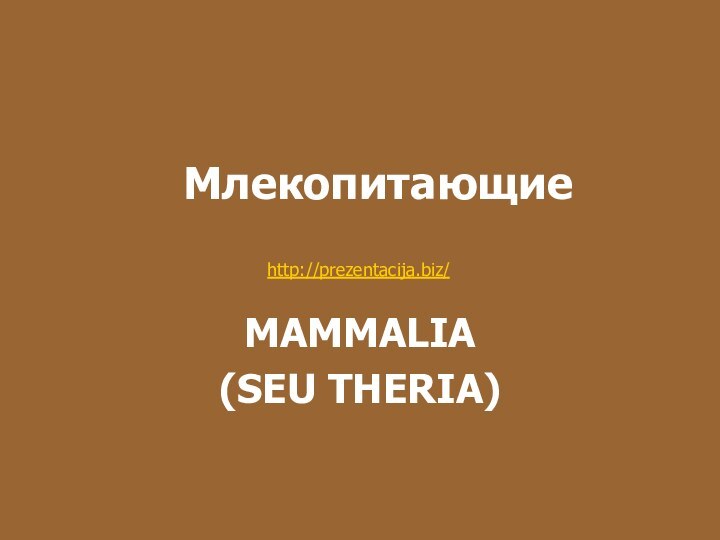 МлекопитающиеMAMMALIA(SEU THERIA)http://prezentacija.biz/