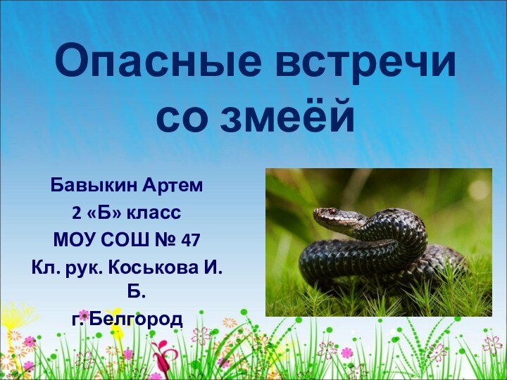 Опасные встречи со змеёйБавыкин Артем2 «Б» классМОУ СОШ № 47Кл. рук. Коськова И. Б.г. Белгород