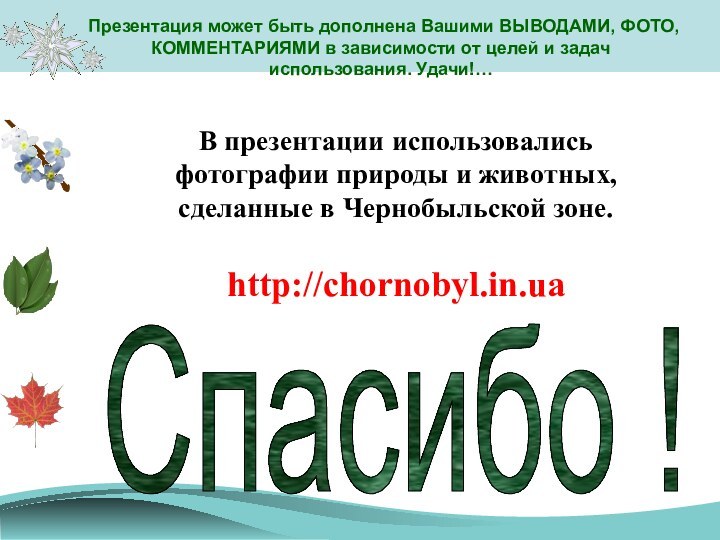 В презентации использовались фотографии природы и животных, сделанные в Чернобыльской зоне.http://chornobyl.in.uaСпасибо !Презентация