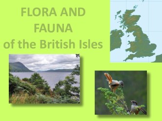 Flora and fauna of the British Isles