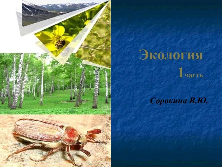 Экология 1часть Сорокина В.Ю.