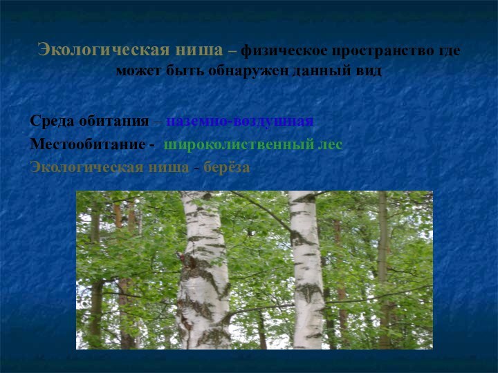 Экологическая ниша – физическое пространство где может быть обнаружен данный видСреда обитания