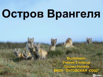 Заповедник о. Врангеля