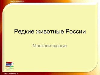 Редкие животные России