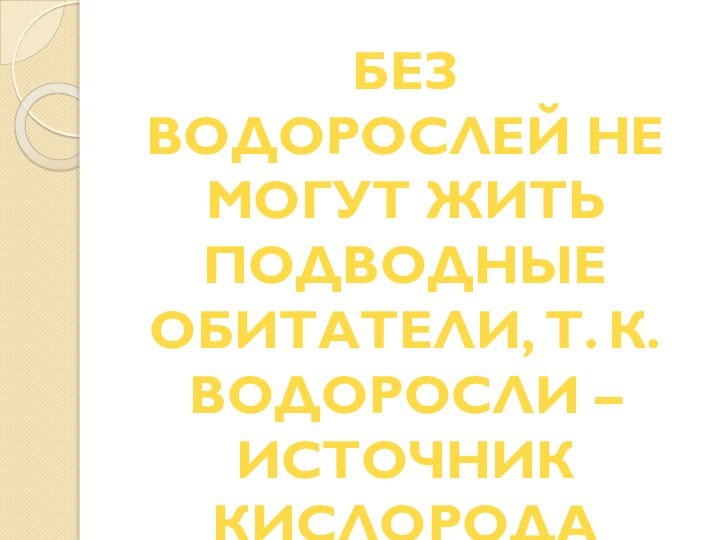 БЕЗ ВОДОРОСЛЕЙ НЕ МОГУТ ЖИТЬ ПОДВОДНЫЕ ОБИТАТЕЛИ, Т. К. ВОДОРОСЛИ – ИСТОЧНИК КИСЛОРОДА