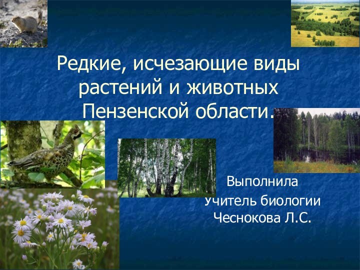 Редкие, исчезающие виды растений и животных Пензенской области.Выполнила Учитель биологии Чеснокова Л.С.