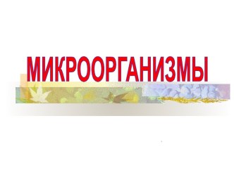 Микроорганизмы