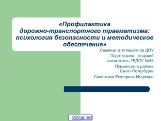 Профилактика дорожно-транспортного травматизма: психология безопасности и методическое обеспечение