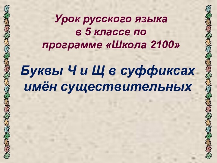 Урок русского языка  в 5 классе по  программе «Школа 2100»Буквы