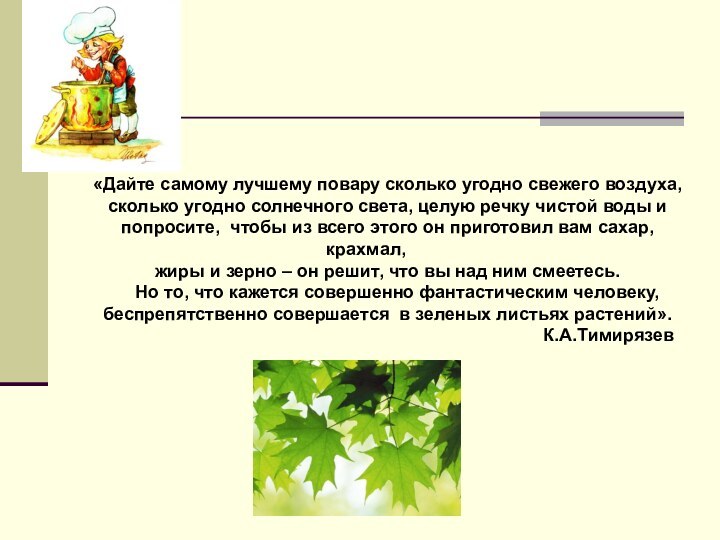 «Дайте самому лучшему повару сколько угодно свежего воздуха, сколько угодно солнечного света,