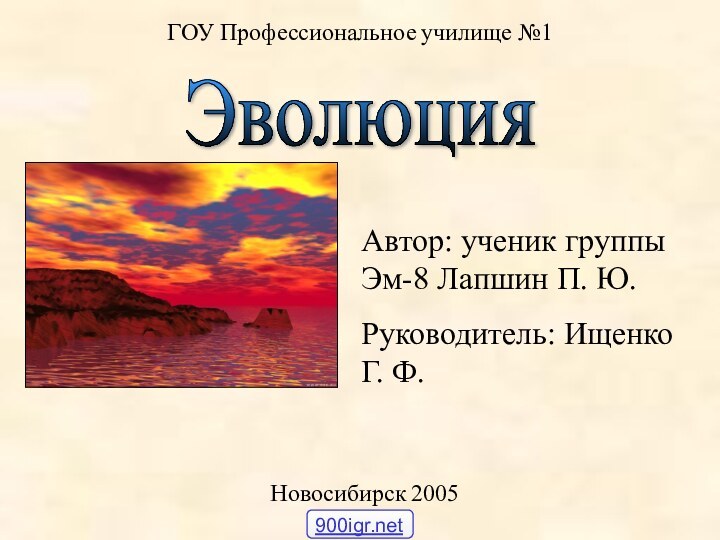 Эволюция ГОУ Профессиональное училище №1Новосибирск 2005Автор: ученик группы Эм-8 Лапшин П. Ю.Руководитель: Ищенко Г. Ф.