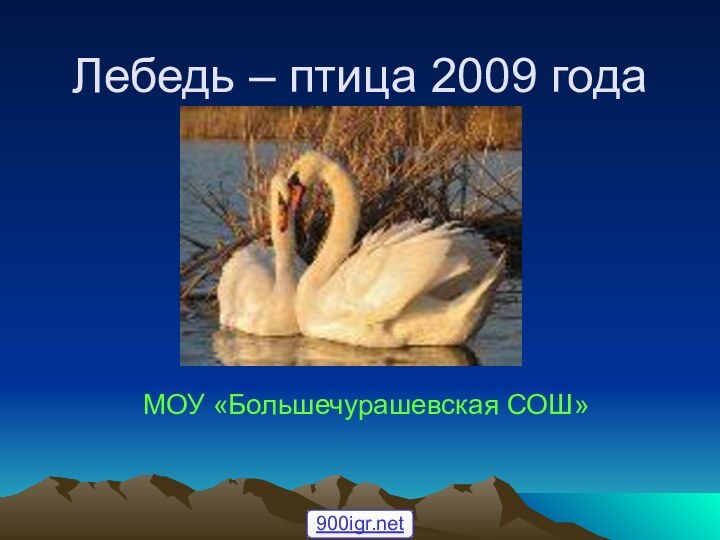 Лебедь – птица 2009 годаМОУ «Большечурашевская СОШ»