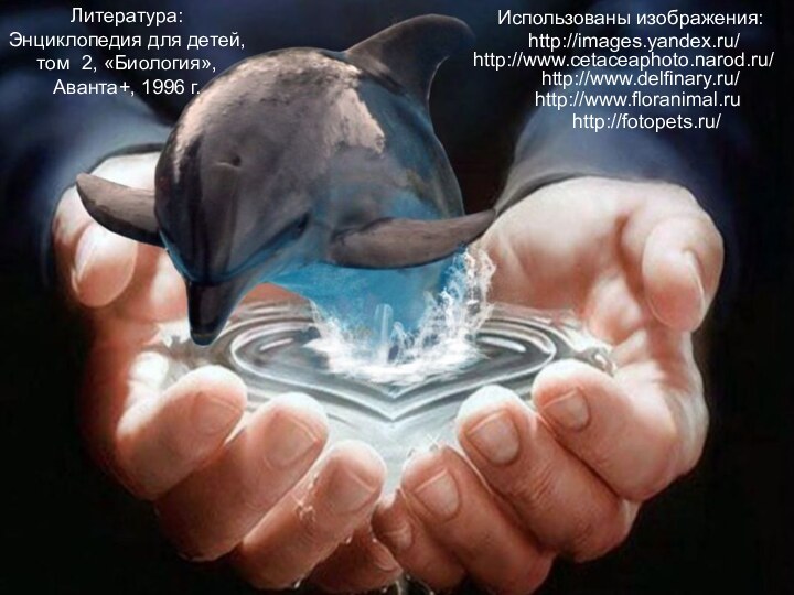 Использованы изображения:http://www.delfinary.ru/http://www.cetaceaphoto.narod.ru/http://www.floranimal.ruhttp://images.yandex.ru/http://fotopets.ru/Литература: Энциклопедия для детей, том 2, «Биология», Аванта+, 1996 г.