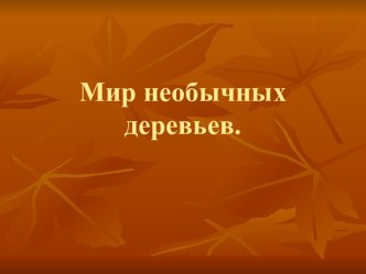 Мир необычных деревьев