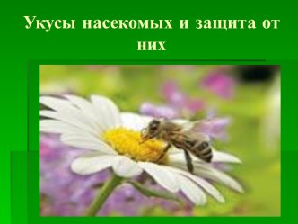 Укусы насекомых и защита от них