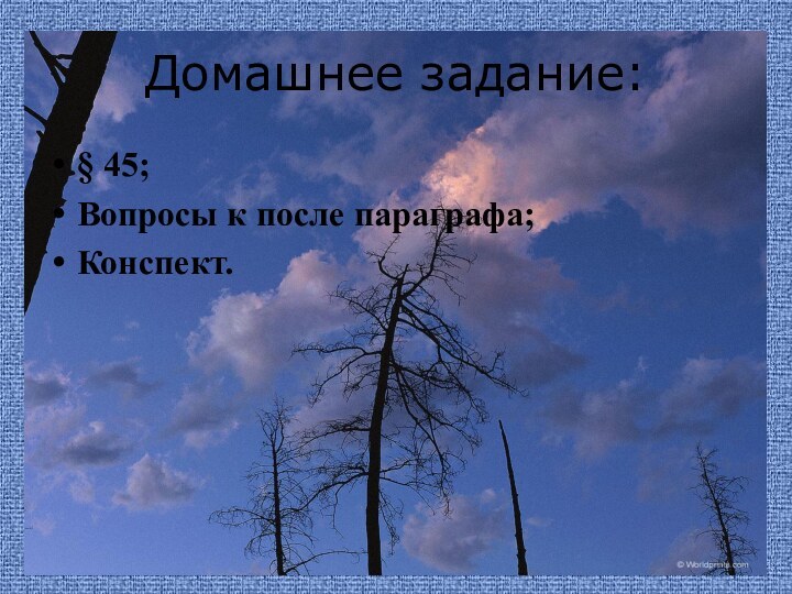 Домашнее задание:§ 45;Вопросы к после параграфа;Конспект.