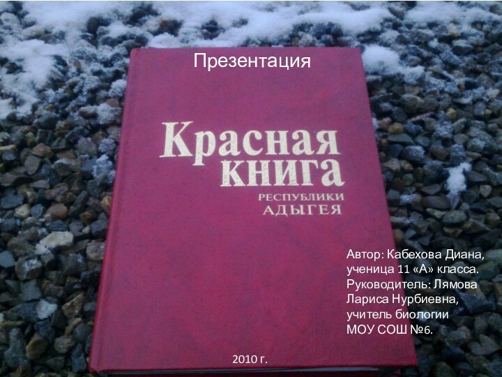 ПрезентацияАвтор: Кабехова Диана,ученица 11 «А» класса.Руководитель: Лямова Лариса Нурбиевна,учитель биологииМОУ СОШ №6.2010 г.