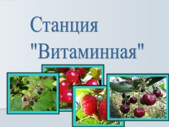 Станция Витаминная