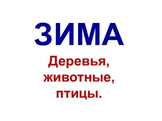 Зима