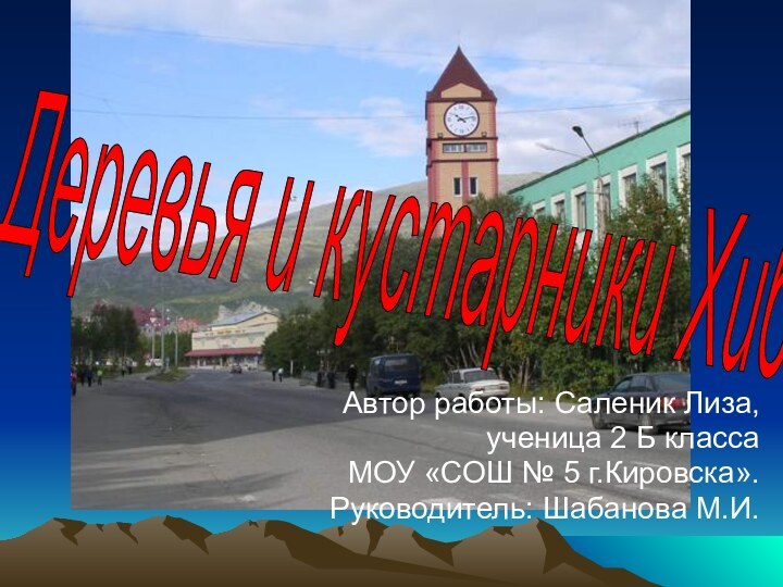 Автор работы: Саленик Лиза,ученица 2 Б классаМОУ «СОШ № 5 г.Кировска».Руководитель: