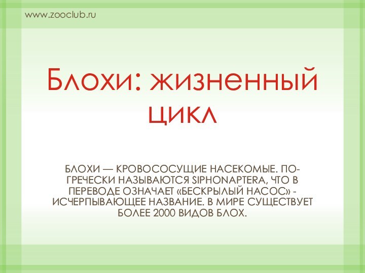 Блохи: жизненный циклБлохи — кровососущие насекомые. По-гречески называются Siphonaptera, что в переводе