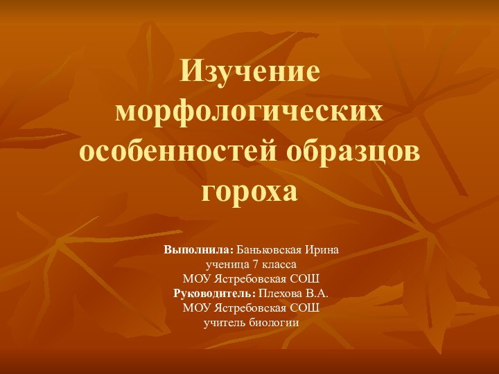 Изучение морфологических особенностей образцов гороха Выполнила: Баньковская Иринаученица 7 класса МОУ Ястребовская