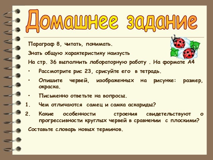 Домашнее заданиеПараграф 8, читать, понимать.Знать общую характеристику наизустьНа стр. 36 выполнить лабораторную